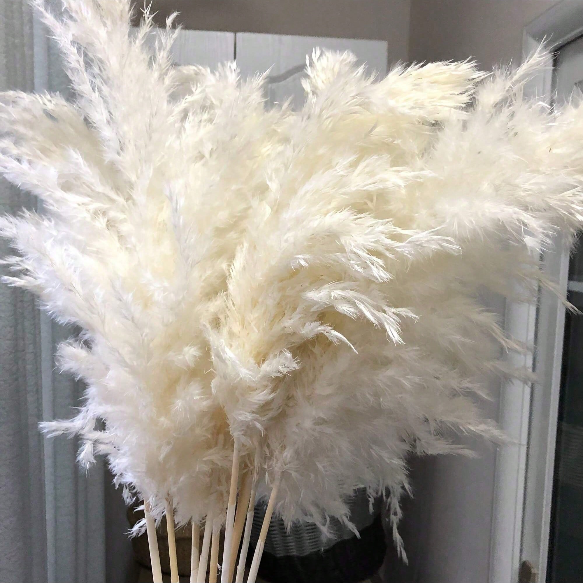 Pampas Grass Decor - 10/20/30 pièces d'herbe de pampa artificielle