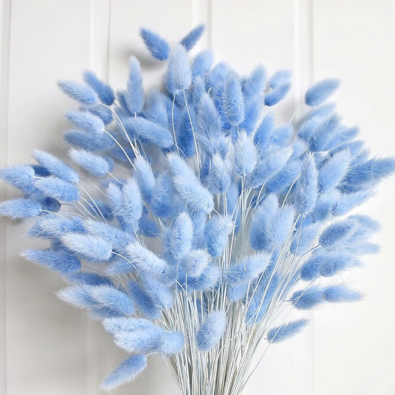 Pampas Grass Decor - 100 pièces bleu lièvre-queue herbe lapin