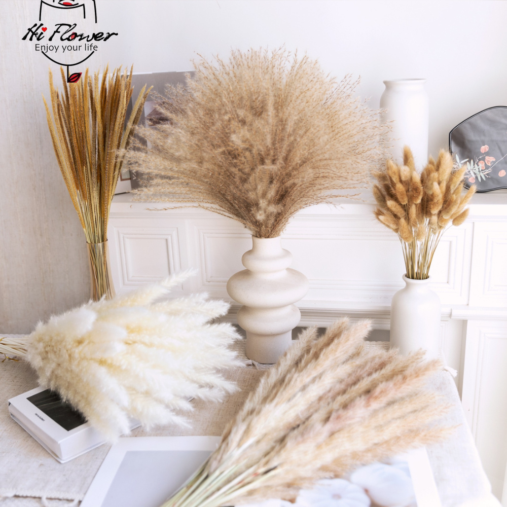Bouquet d'herbe de la pampa sé - Pampas Grass Decor avis et prix