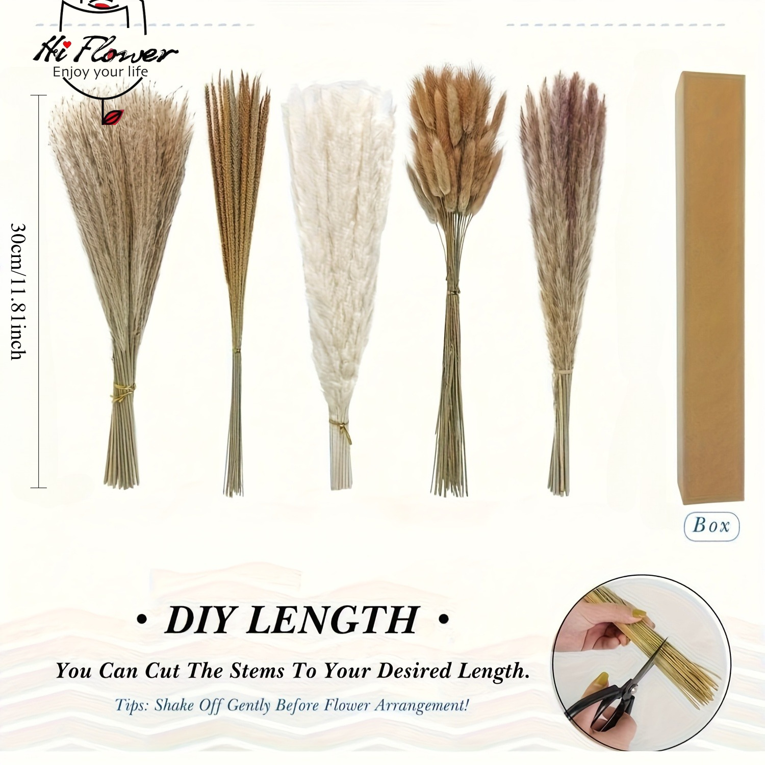 Bouquet d'herbe de la pampa sé - Pampas Grass Decor avis et prix