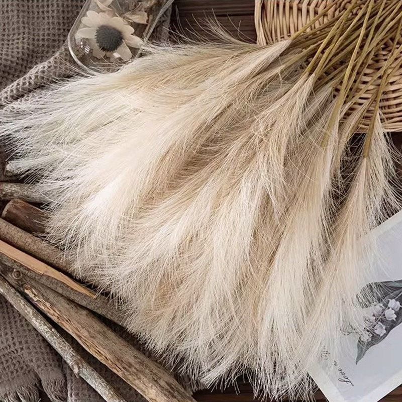 5 pièces/ensemble de fleurs ar - Pampas Grass Decor avis et prix