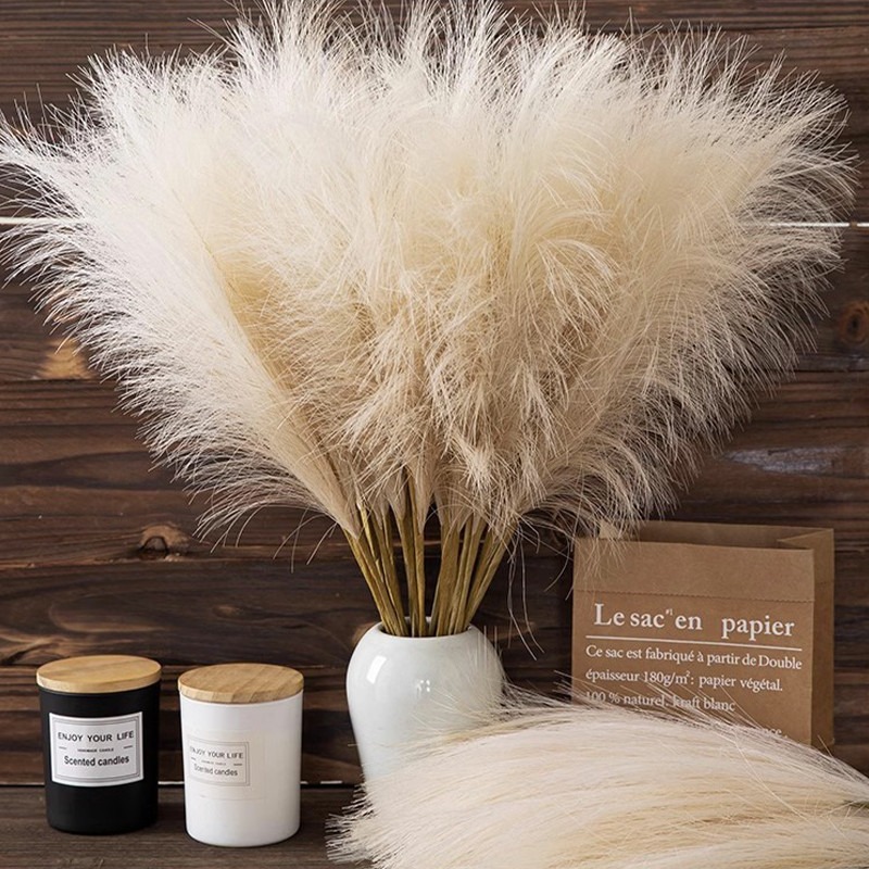 5 pièces/ensemble de fleurs ar - Pampas Grass Decor avis et prix