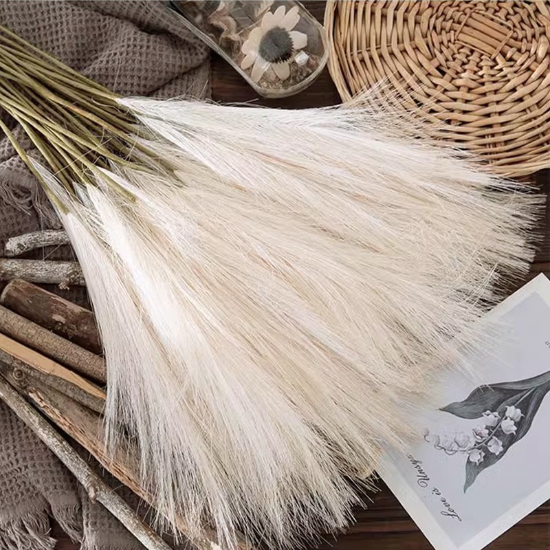 5 pièces/ensemble de fleurs ar - Pampas Grass Decor avis et prix