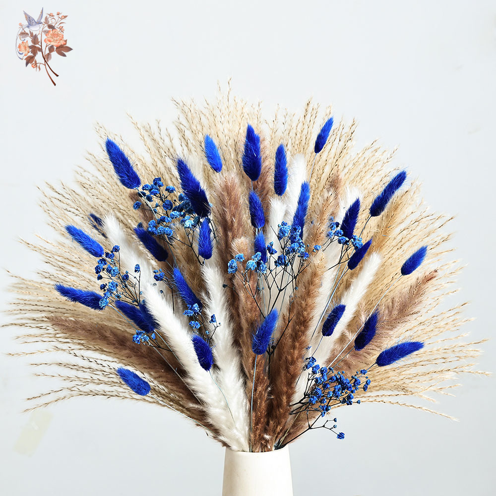 Queue de lapin moelleuse bleue - Pampas Grass Decor avis et prix