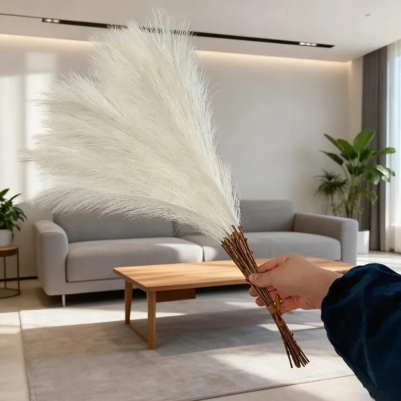 Bouquet d'herbe de la Pampa ar - Pampas Grass Decor avis et prix