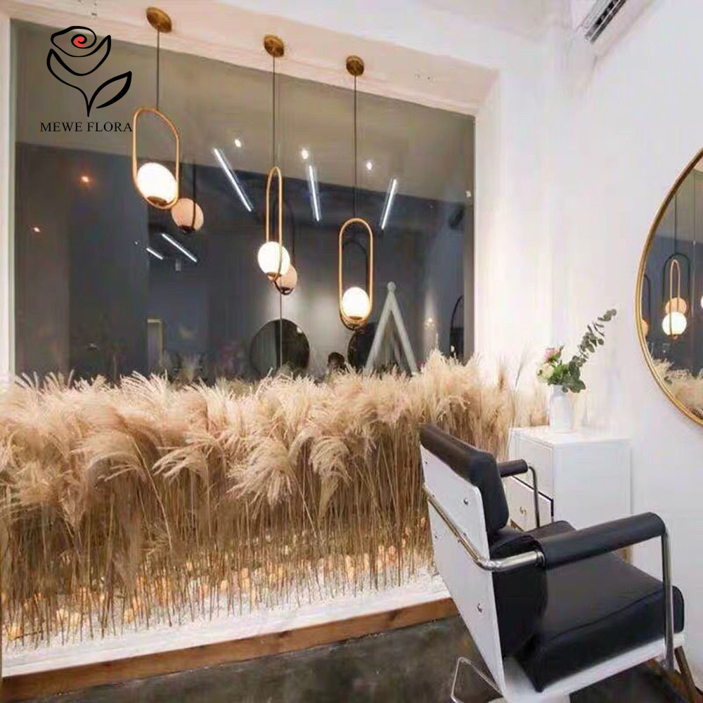 Bouquet de fleurs d'anches moe - Pampas Grass Decor avis et prix