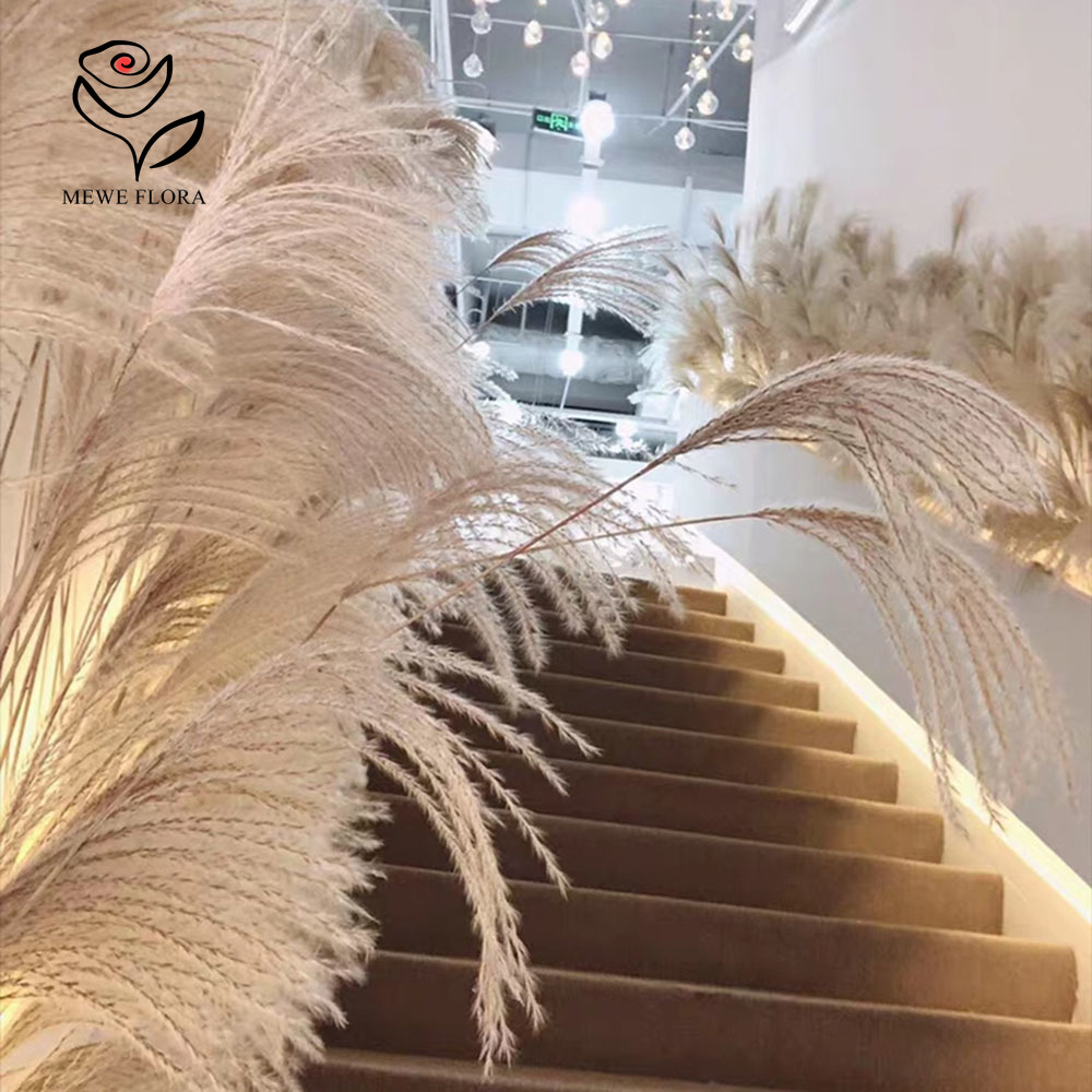 Bouquet de fleurs d'anches moe - Pampas Grass Decor avis et prix