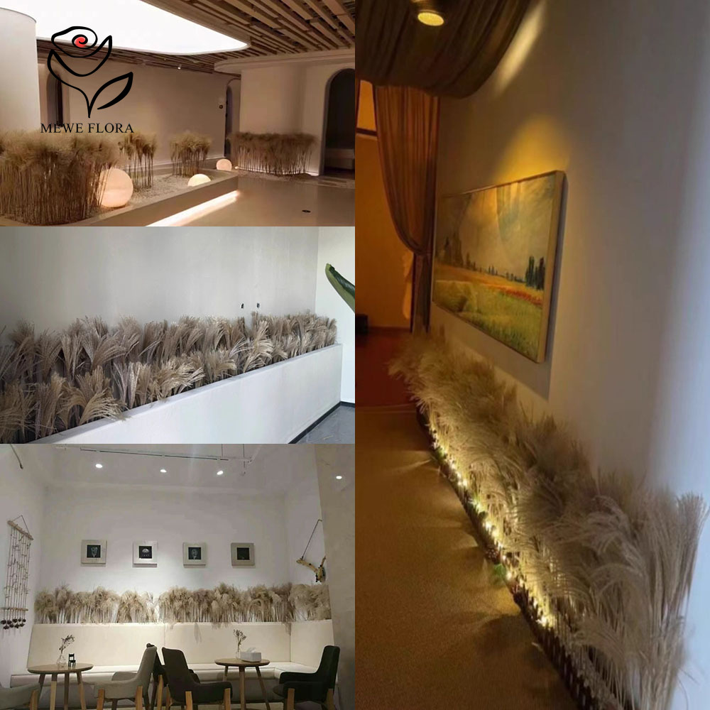 Bouquet de fleurs d'anches moe - Pampas Grass Decor avis et prix
