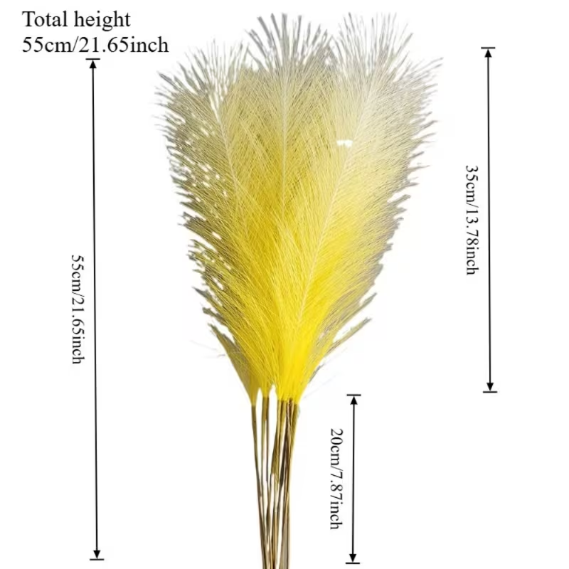 10 pièces d'herbe de pampa art - Pampas Grass Decor avis et prix