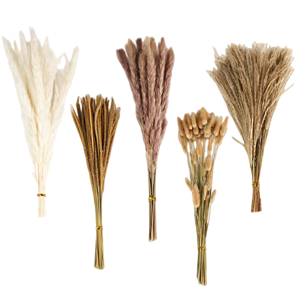 Bouquet de fleurs séchées méla - Pampas Grass Decor avis et prix