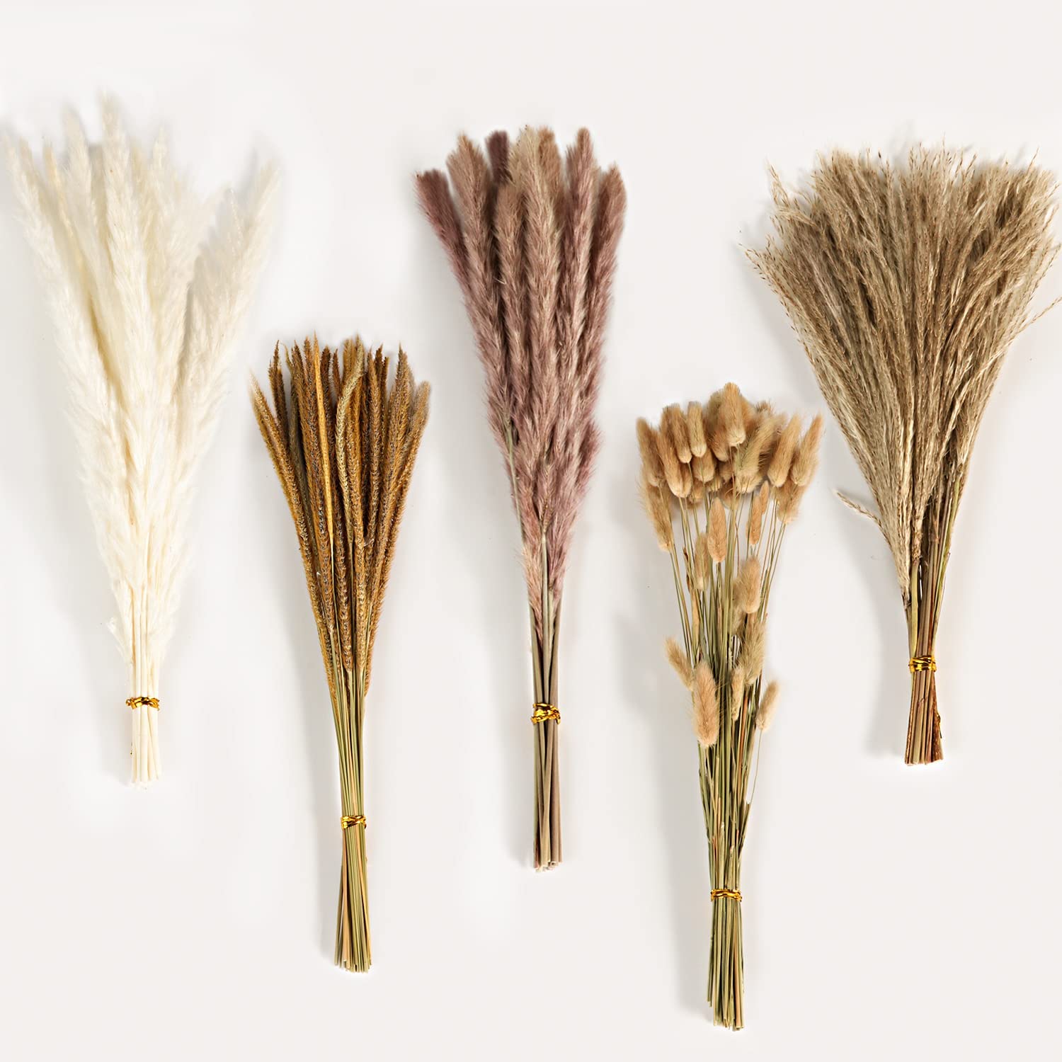 Bouquet de fleurs séchées méla - Pampas Grass Decor avis et prix