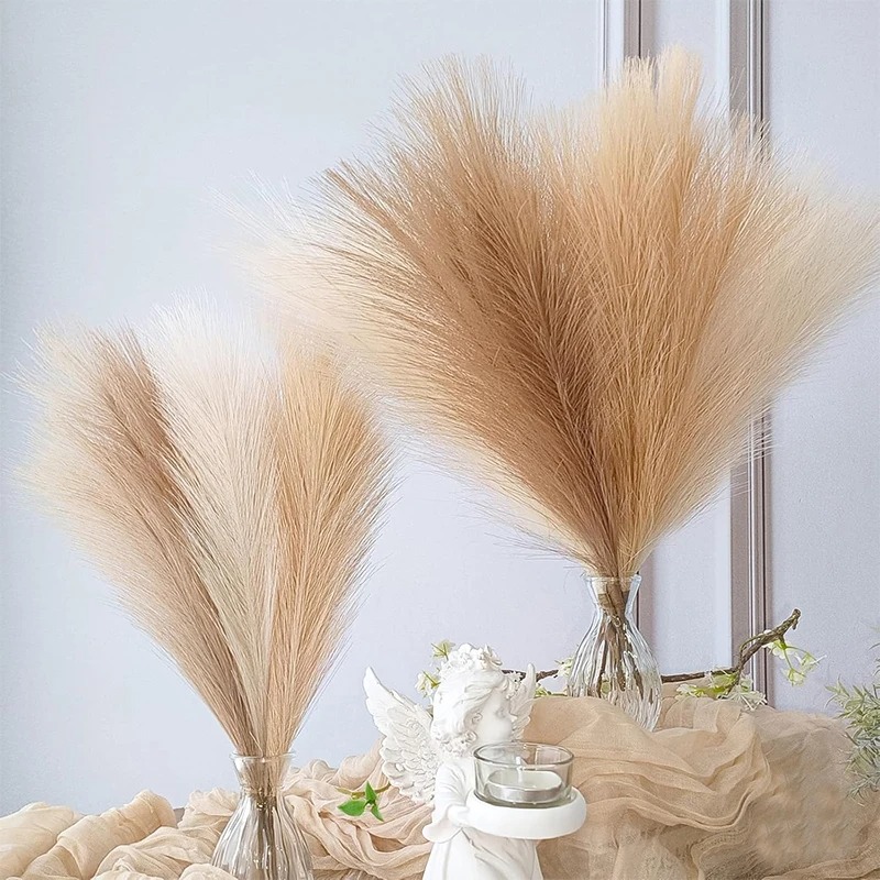 5/10 pièces de 55 cm d'herbe d - Pampas Grass Decor avis et prix