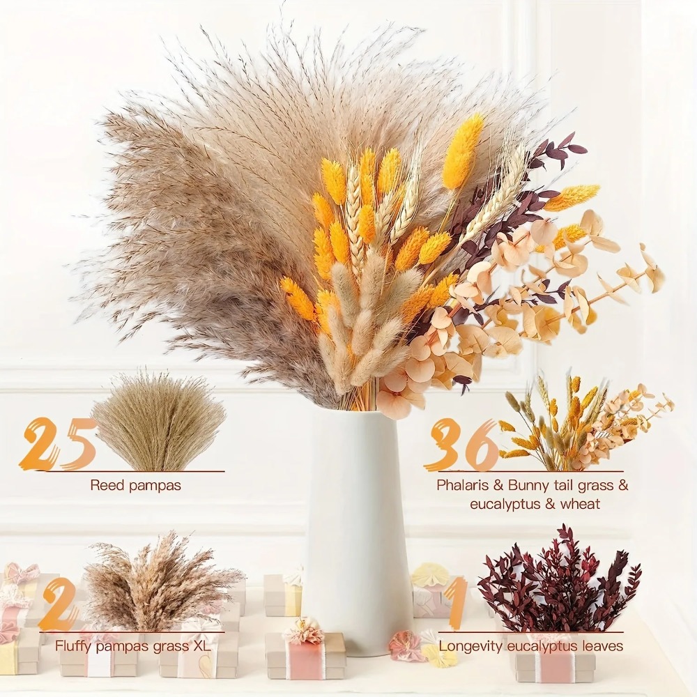 Bouquet de fleurs séchées natu - Pampas Grass Decor avis et prix