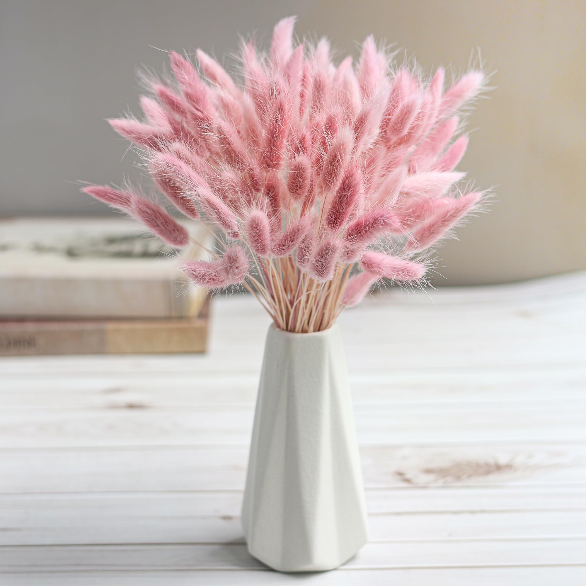 Queues de lapin Pampas séchées - Pampas Grass Decor avis et prix
