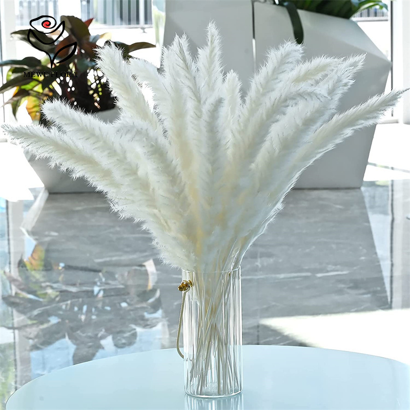 18 tiges de fleurs séchées nat - Pampas Grass Decor avis et prix