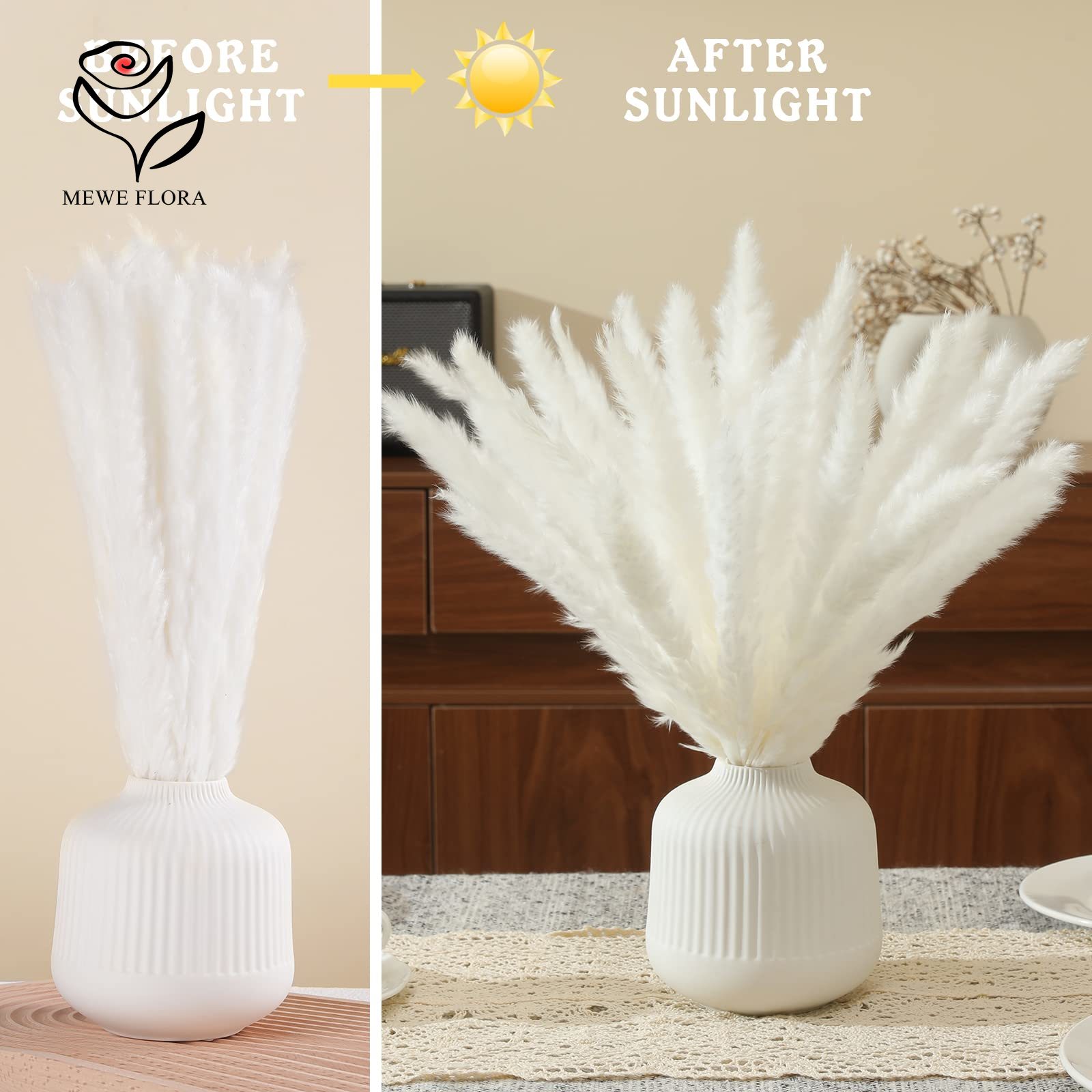 18 tiges de fleurs séchées nat - Pampas Grass Decor avis et prix