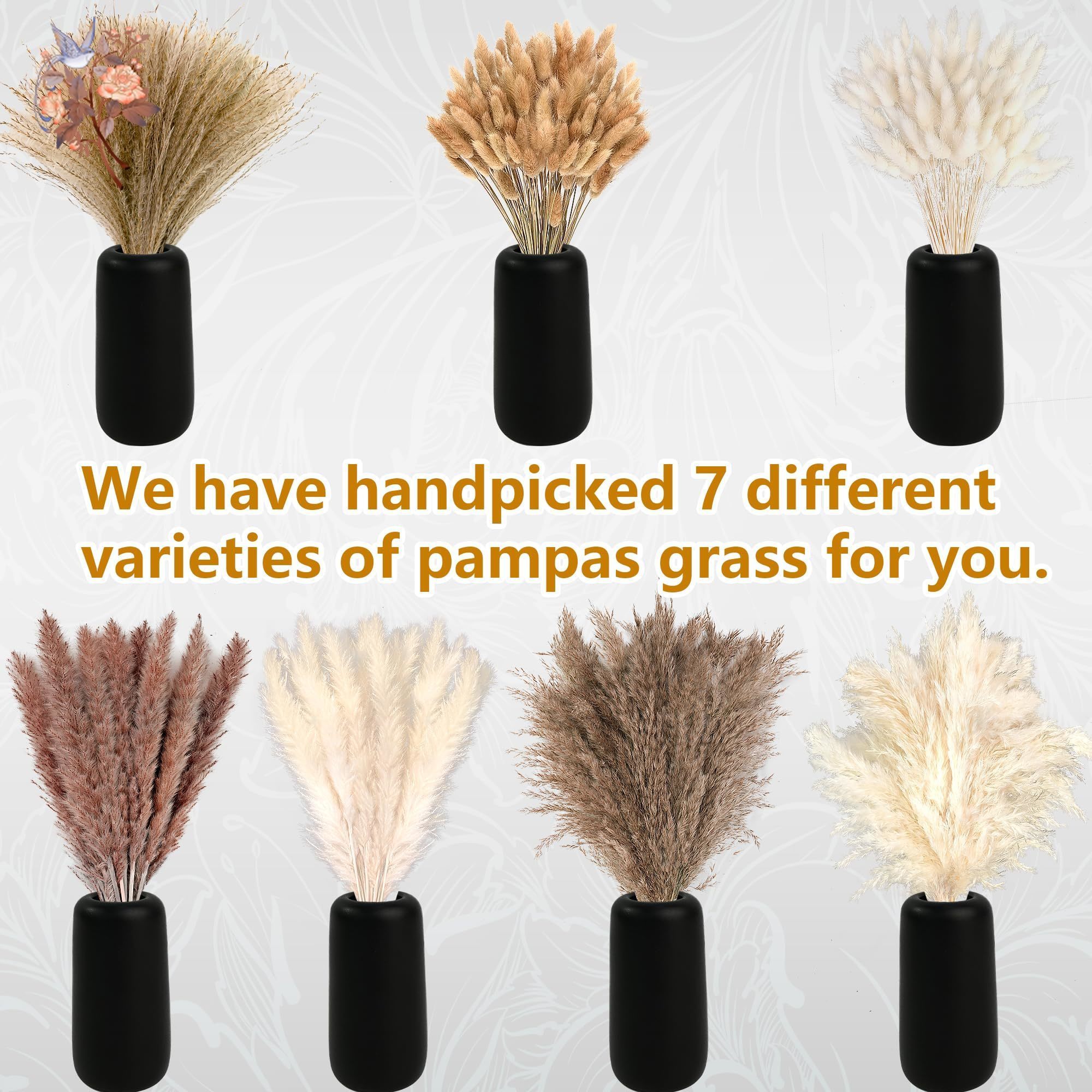 Grandes Bouquets de fleurs séc - Pampas Grass Decor avis et prix