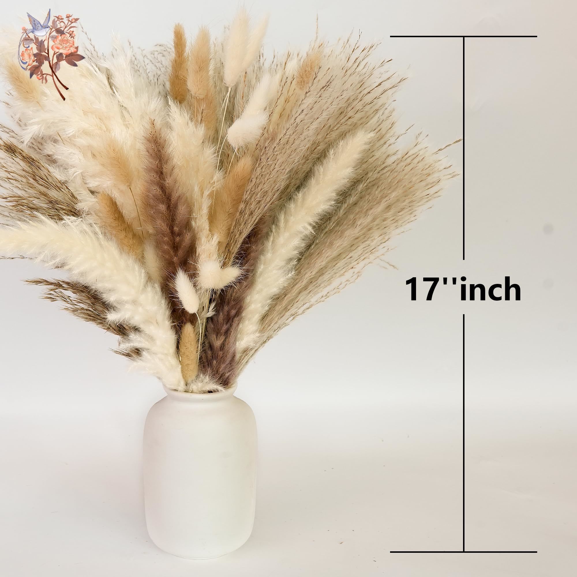 Grandes Bouquets de fleurs séc - Pampas Grass Decor avis et prix