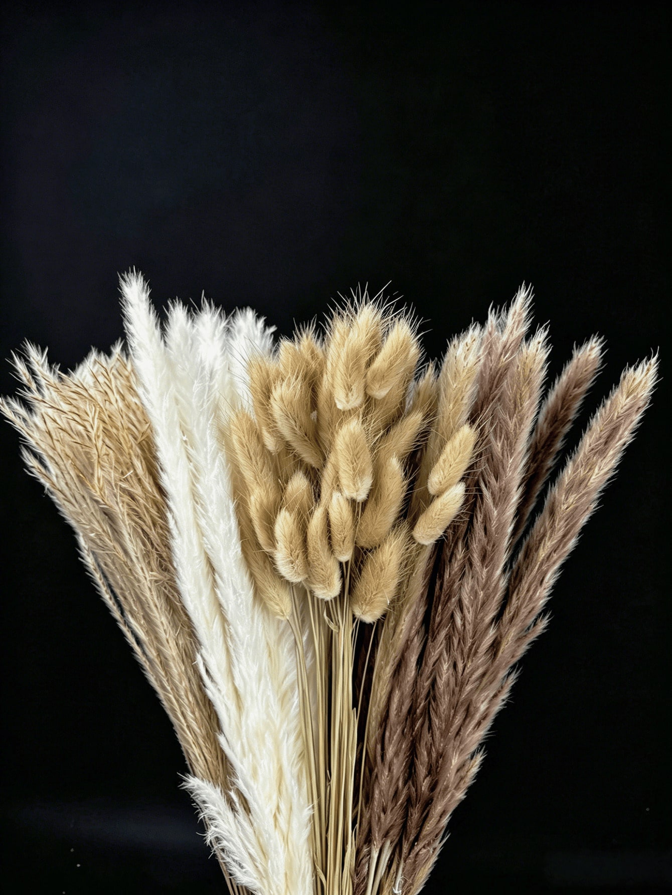 10/20/30 pièces d'herbe de pam - Pampas Grass Decor avis et prix