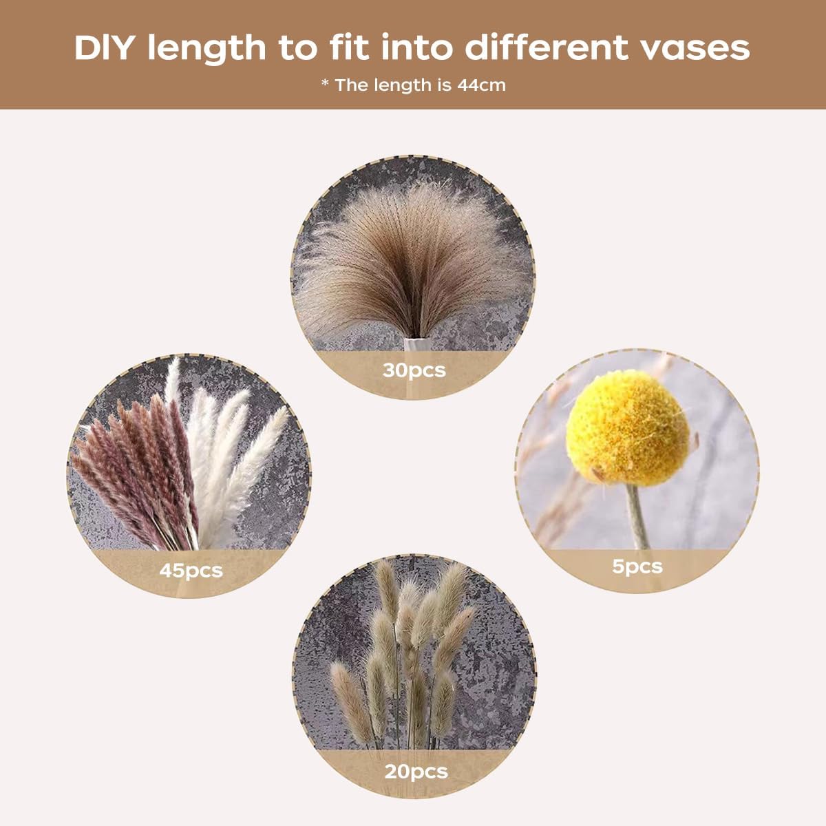 Bouquet d'herbe de la pampa sé - Pampas Grass Decor avis et prix