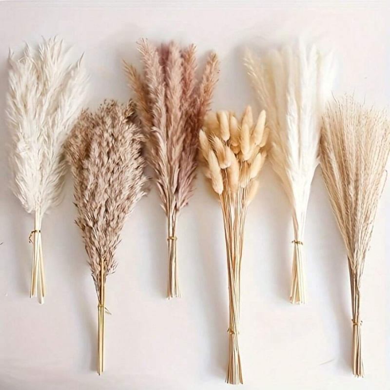 Bouquet d'herbe de pampa séché - Pampas Grass Decor avis et prix