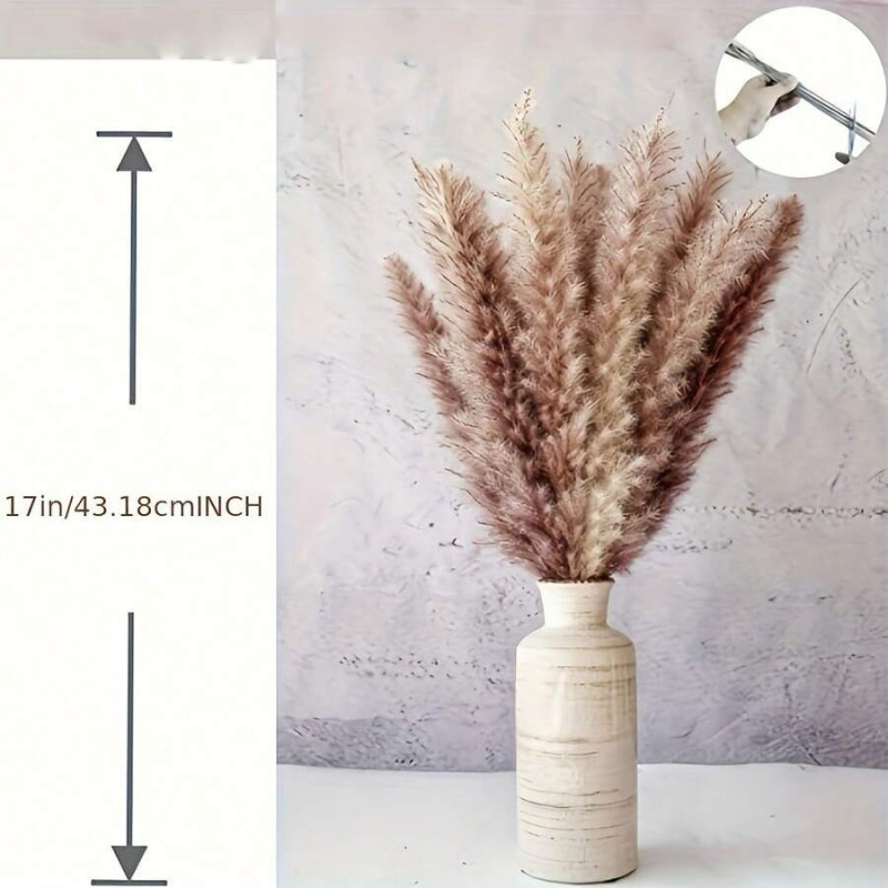 Bouquet d'herbe de pampa séché - Pampas Grass Decor avis et prix