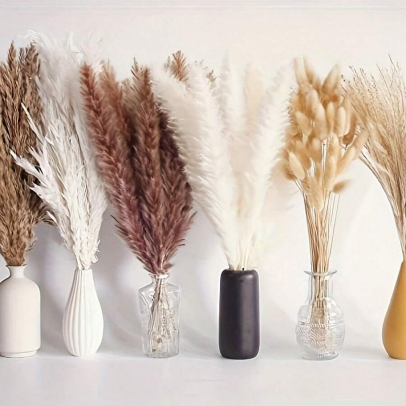 Bouquet d'herbe de pampa séché - Pampas Grass Decor avis et prix