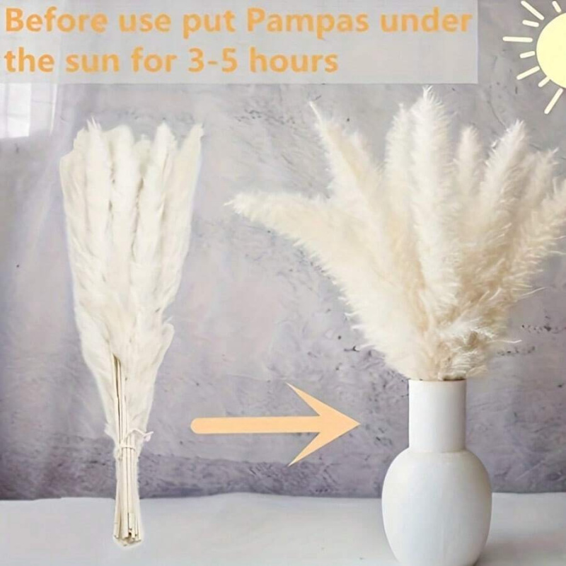 Bouquet d'herbe de pampa séché - Pampas Grass Decor avis et prix