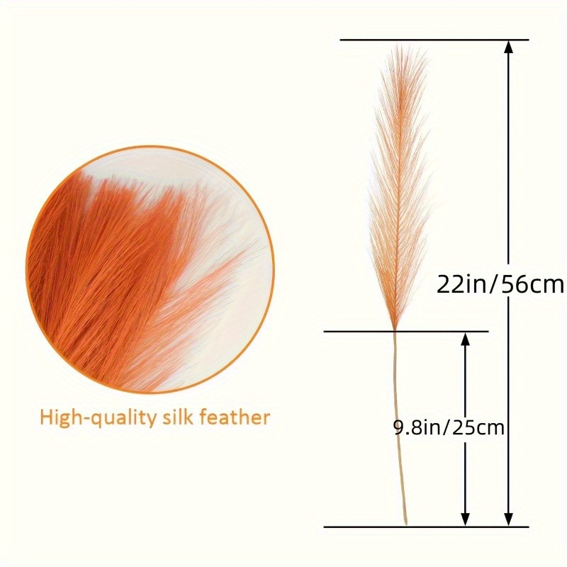10 pièces d'herbe de la pampa  - Pampas Grass Decor avis et prix