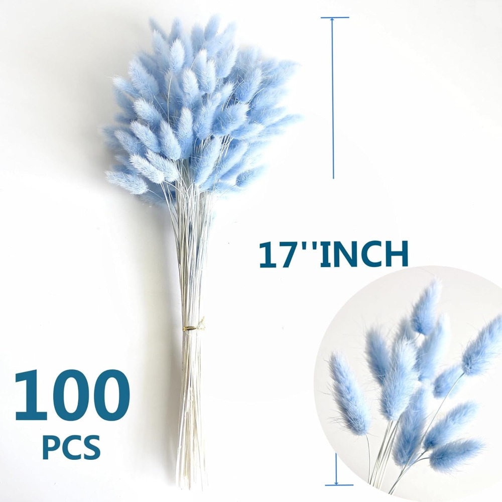 100 pièces bleu lièvre-queue h - Pampas Grass Decor avis et prix