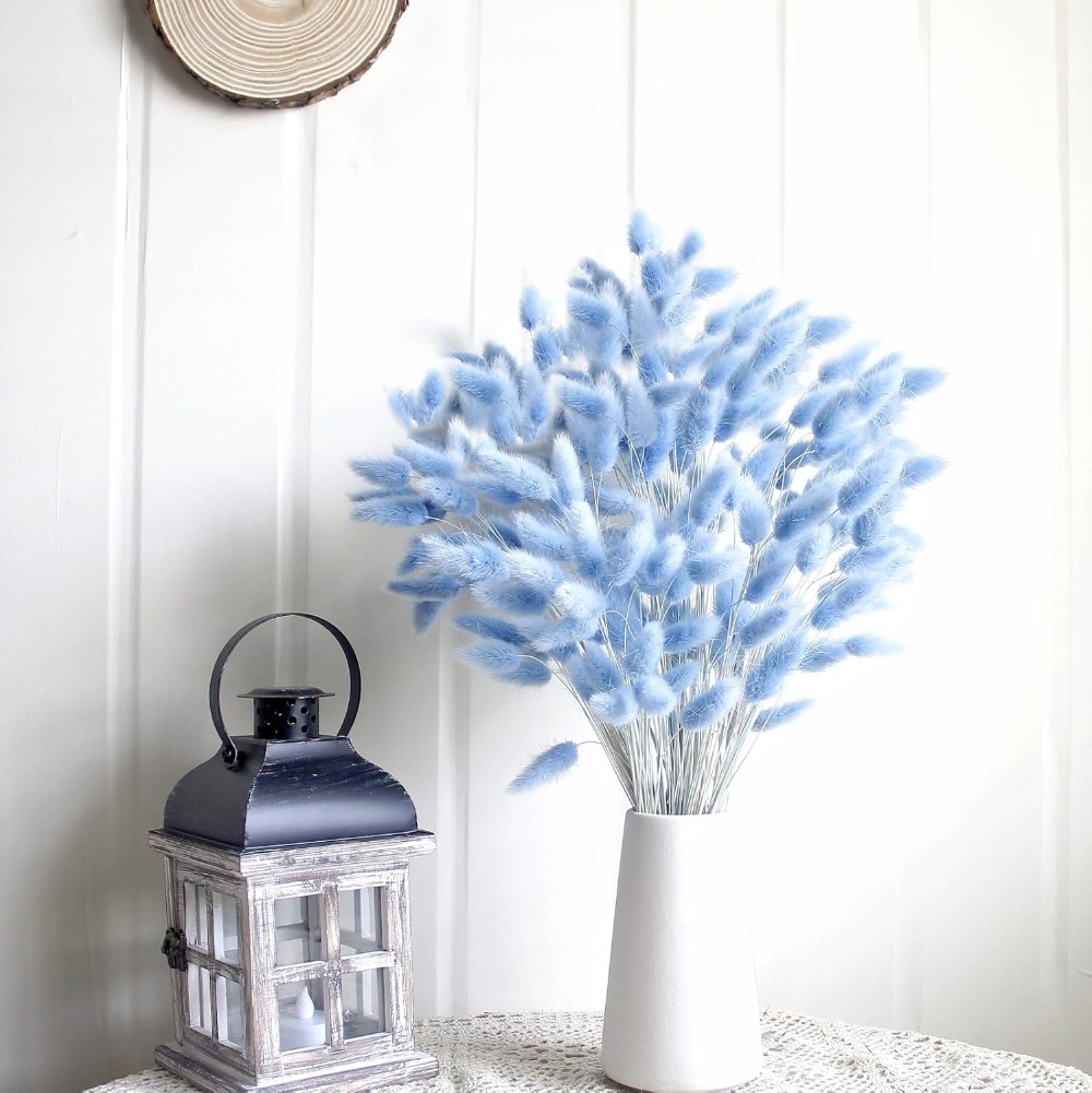 100 pièces bleu lièvre-queue h - Pampas Grass Decor avis et prix