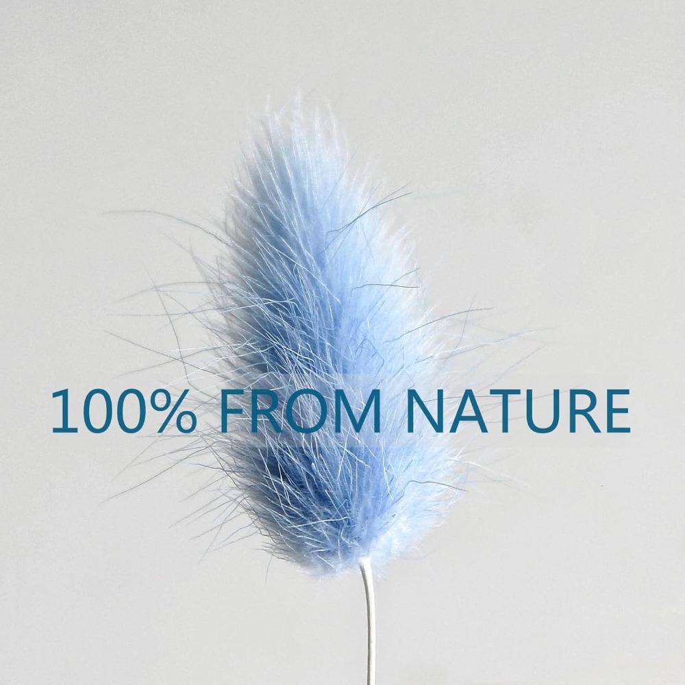 100 pièces bleu lièvre-queue h - Pampas Grass Decor avis et prix