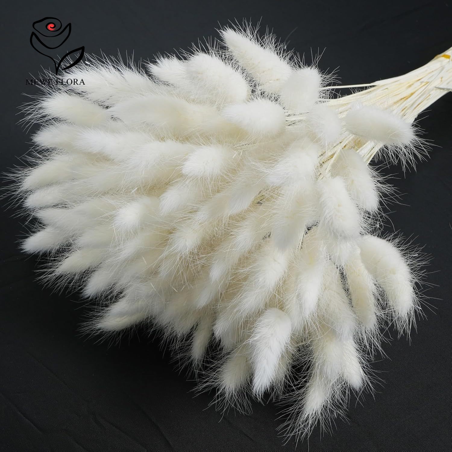 Queues de lapin moelleuses nat - Pampas Grass Decor avis et prix