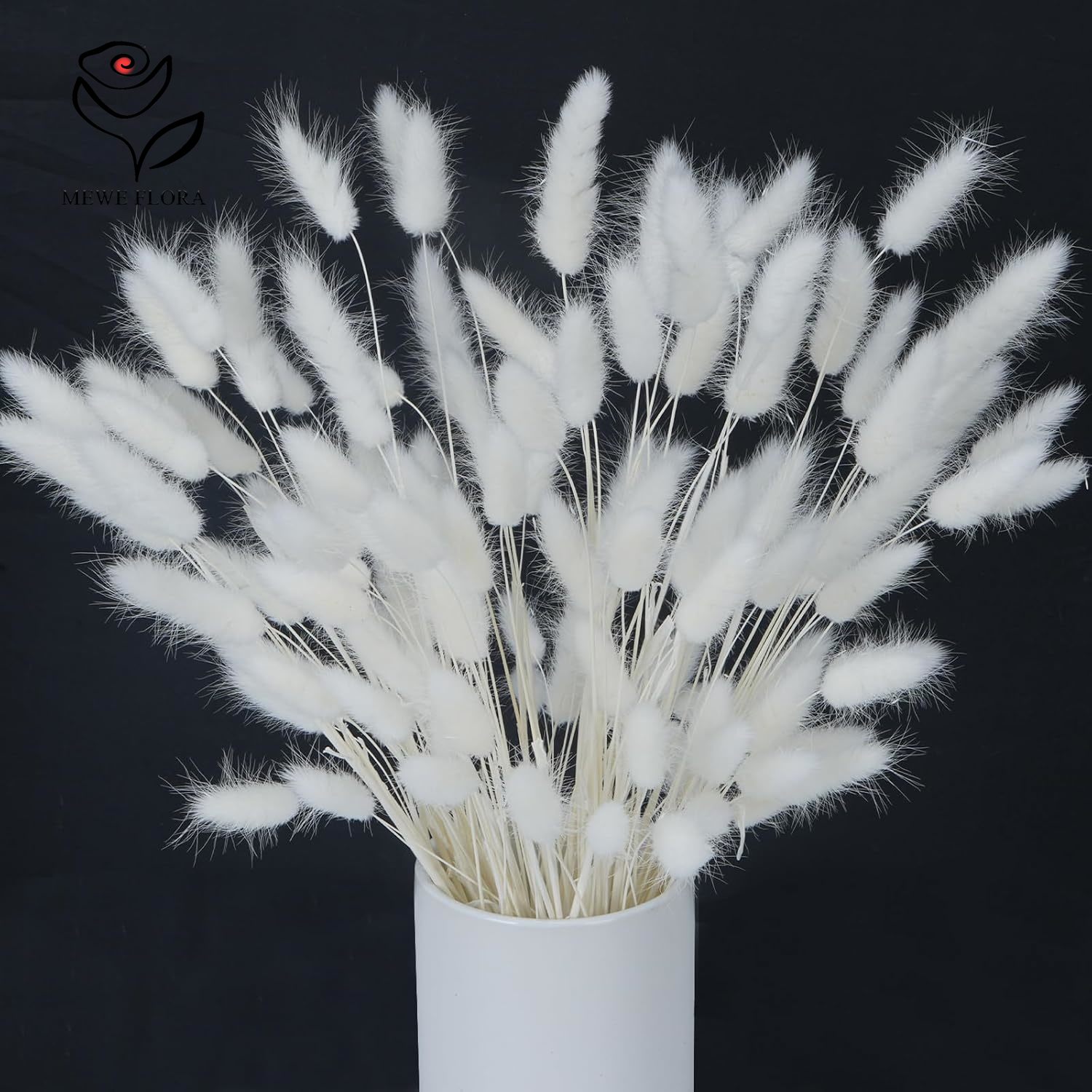 Queues de lapin moelleuses nat - Pampas Grass Decor avis et prix