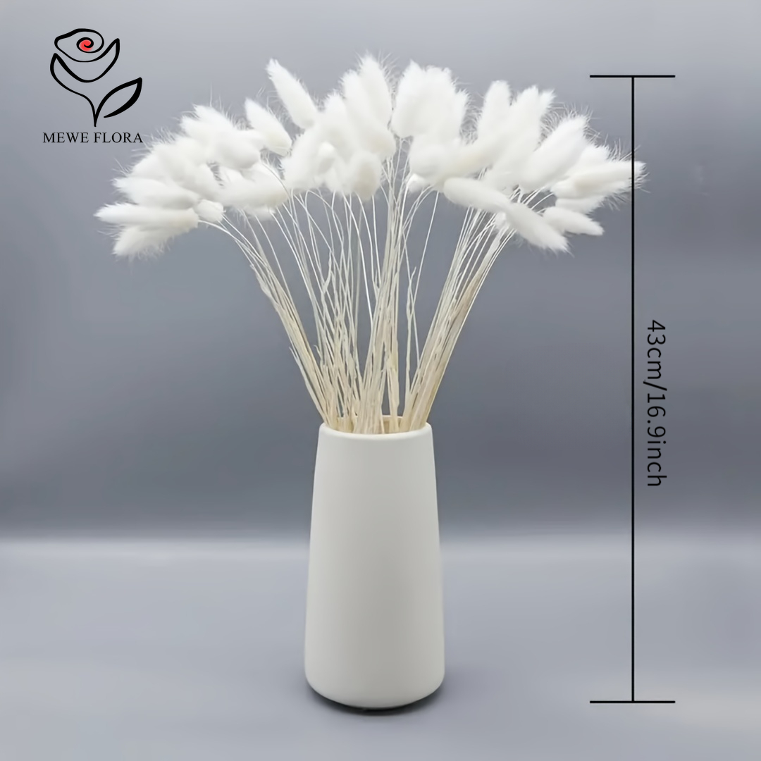 Queues de lapin moelleuses nat - Pampas Grass Decor avis et prix